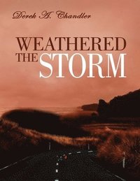 bokomslag Weathered The Storm