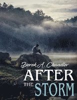 Derek A. Chandler - After The Storm, Häftad