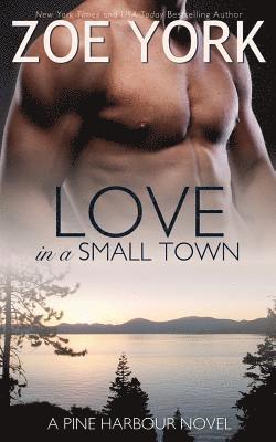 Love in a Small Town 1