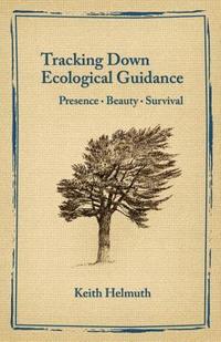 bokomslag Tracking Down Ecological Guidance