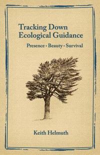 bokomslag Tracking Down Ecological Guidance