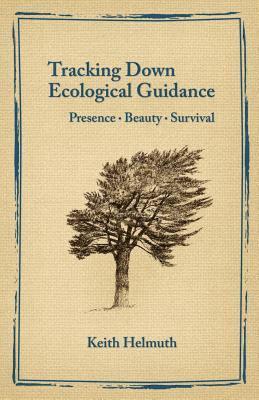 bokomslag Tracking Down Ecological Guidance