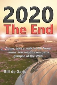 bokomslag 2020 The End