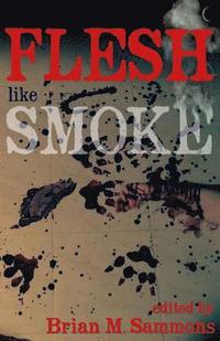 bokomslag Flesh Like Smoke