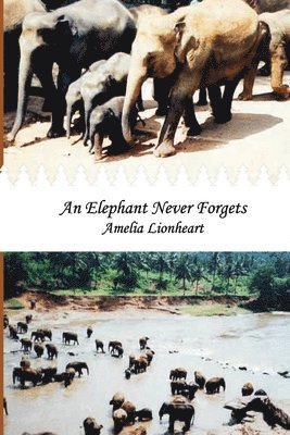 An Elephant Never Forgets 1