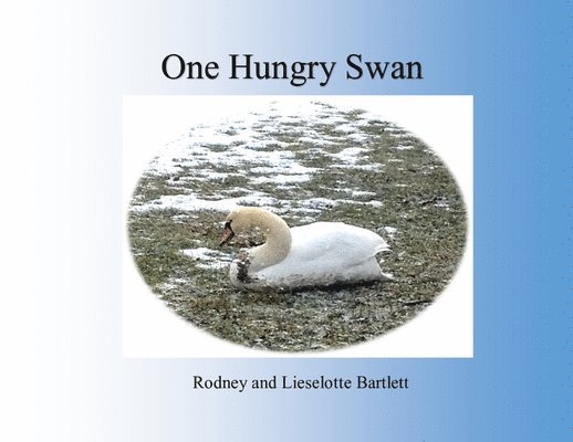 One Hungry Swan 1