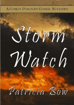 bokomslag Storm Watch