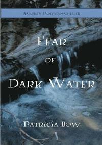 bokomslag Fear of Dark Water