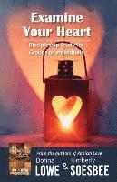 bokomslag Examine Your Heart