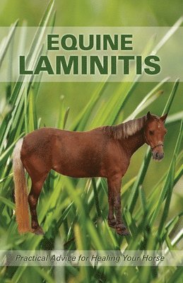 bokomslag Equine Laminitis