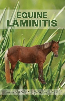 Edwards M. Jenny - Equine Laminitis, Häftad