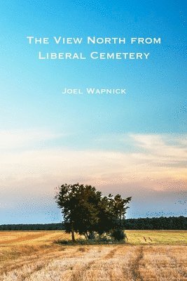 The View North From Liberal Cemetery 1