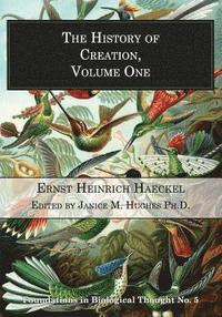 bokomslag The History of Creation, Volume One