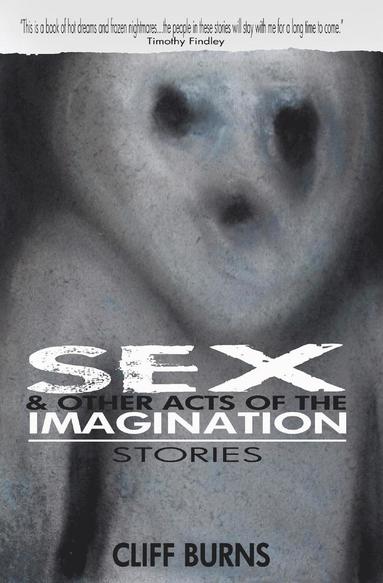 bokomslag Sex and Other Acts of the Imagination