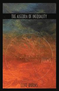 bokomslag The Algebra of Inequality