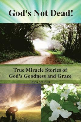 Doris Schuster - God's Not Dead!, Häftad