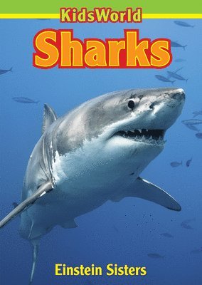 Sharks 1