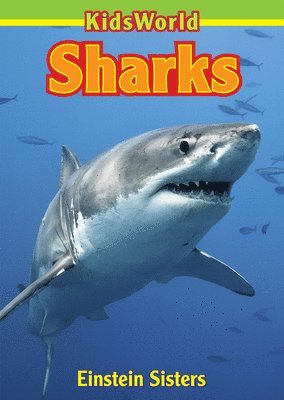 Erin Einstein - Sharks, Häftad. Tillgänglighet: Lägg i varukorg