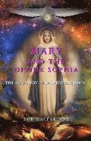 bokomslag Mary and the Divine Sophia: The Salvation of Universal Wisdom