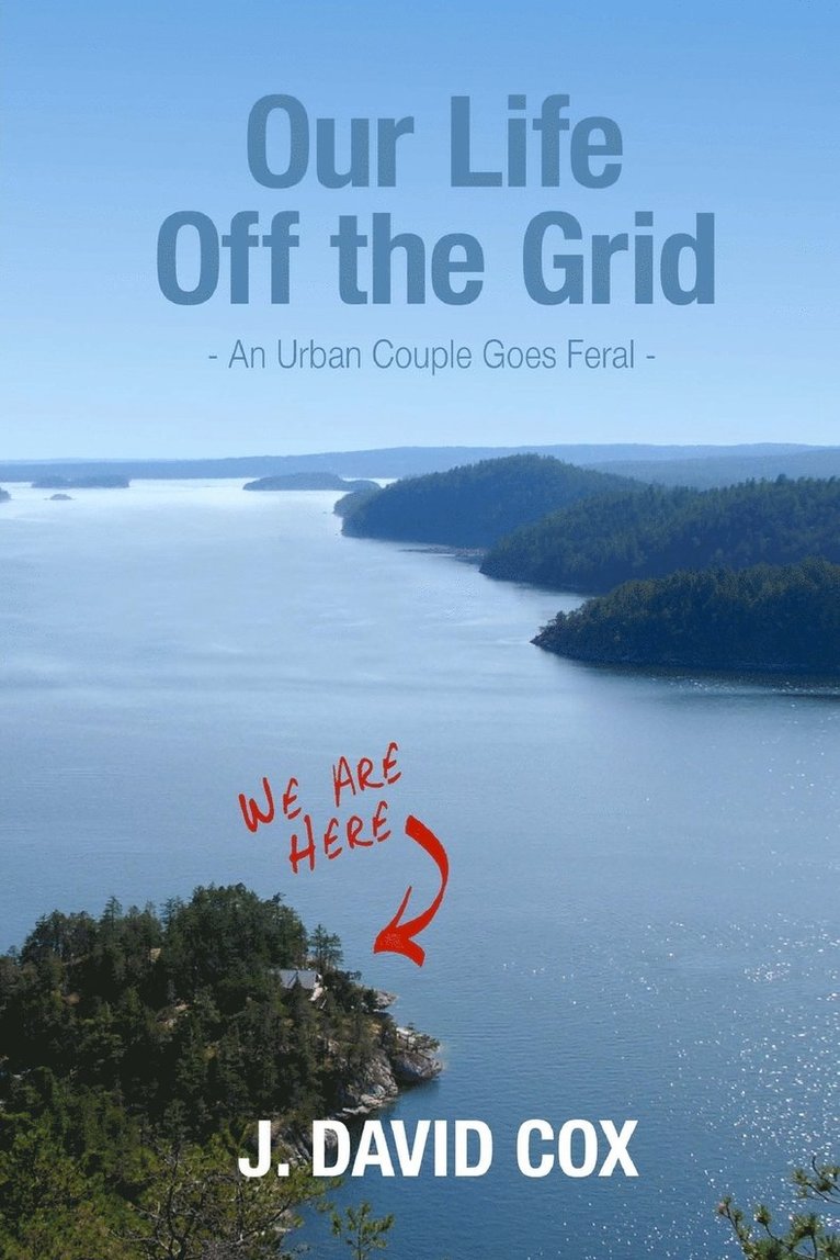 J David Cox, Sally J Davies, Sally J. Davies - Our Life Off the Grid, Häftad