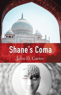 bokomslag Shane's Coma