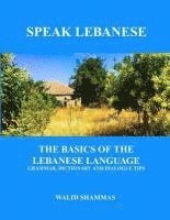 bokomslag Speak Lebanese: The Basics of the Lebanese Language. Grammar, Dictionary and Dialogue Tips.