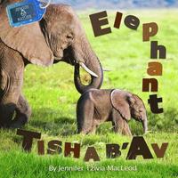 bokomslag Elephant Tisha b'Av