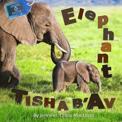 Elephant Tisha b'Av 1