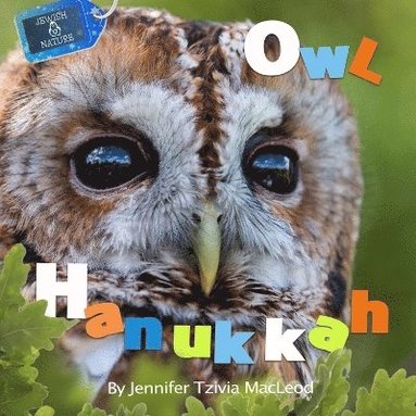 bokomslag Owl Hanukkah