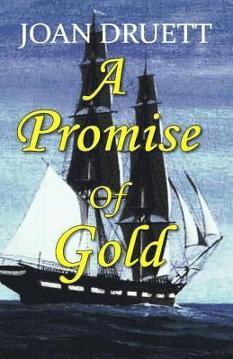 Joan Druett - A Promise of Gold, Häftad