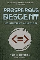bokomslag Prosperous Descent
