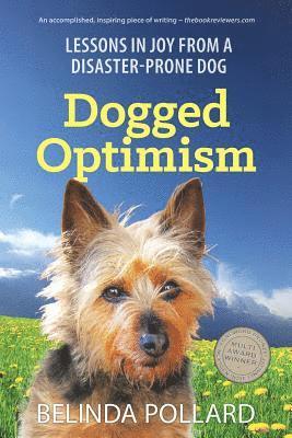 bokomslag Dogged Optimism