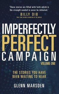 bokomslag Imperfectly Perfect Campaign