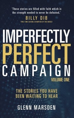 Imperfectly Perfect Campaign 1