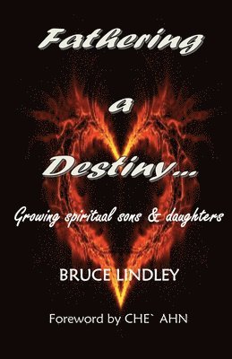 Bruce Lindley - Fathering a Destiny, Häftad