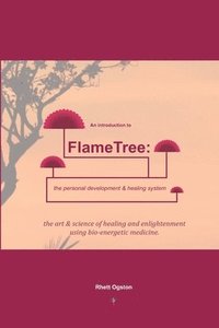 bokomslag An Introduction to FlameTree: the personal development & healing system: The Art & Science of Healing & Enlightenment