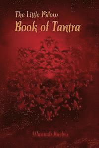 bokomslag The Little Pillow Book of Tantra: Inspirations for Connected Loving