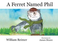 bokomslag A Ferret Named Phil