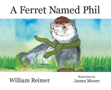 bokomslag Ferret Named Phil