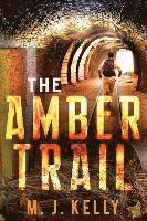 bokomslag The Amber Trail