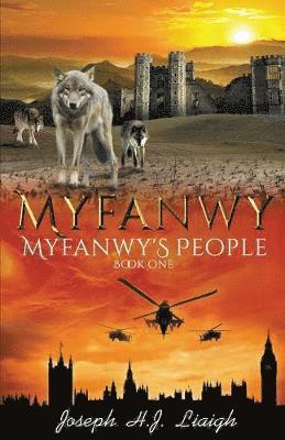 bokomslag Myfanwy