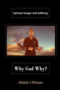 bokomslag Why God Why?
