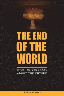 bokomslag End of the World