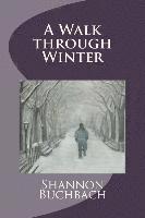 A Walk through Winter