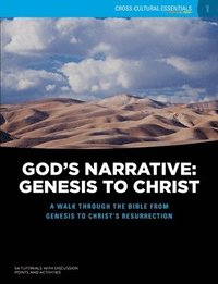 bokomslag God's Narrative