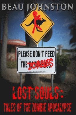 bokomslag Lost Souls