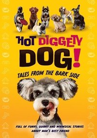 bokomslag Hot Diggety Dog