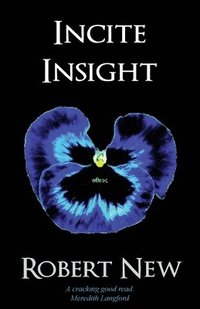 bokomslag Incite Insight