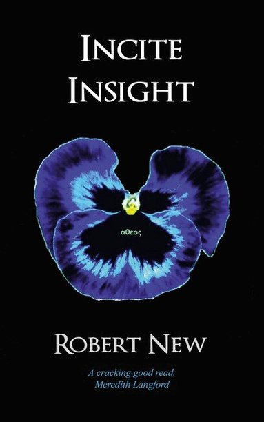Robert New - Incite Insight, Häftad