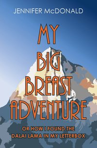 bokomslag My Big Breast Adventure